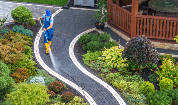 Best Best Pressure Washing Companies  in Stockton, IL